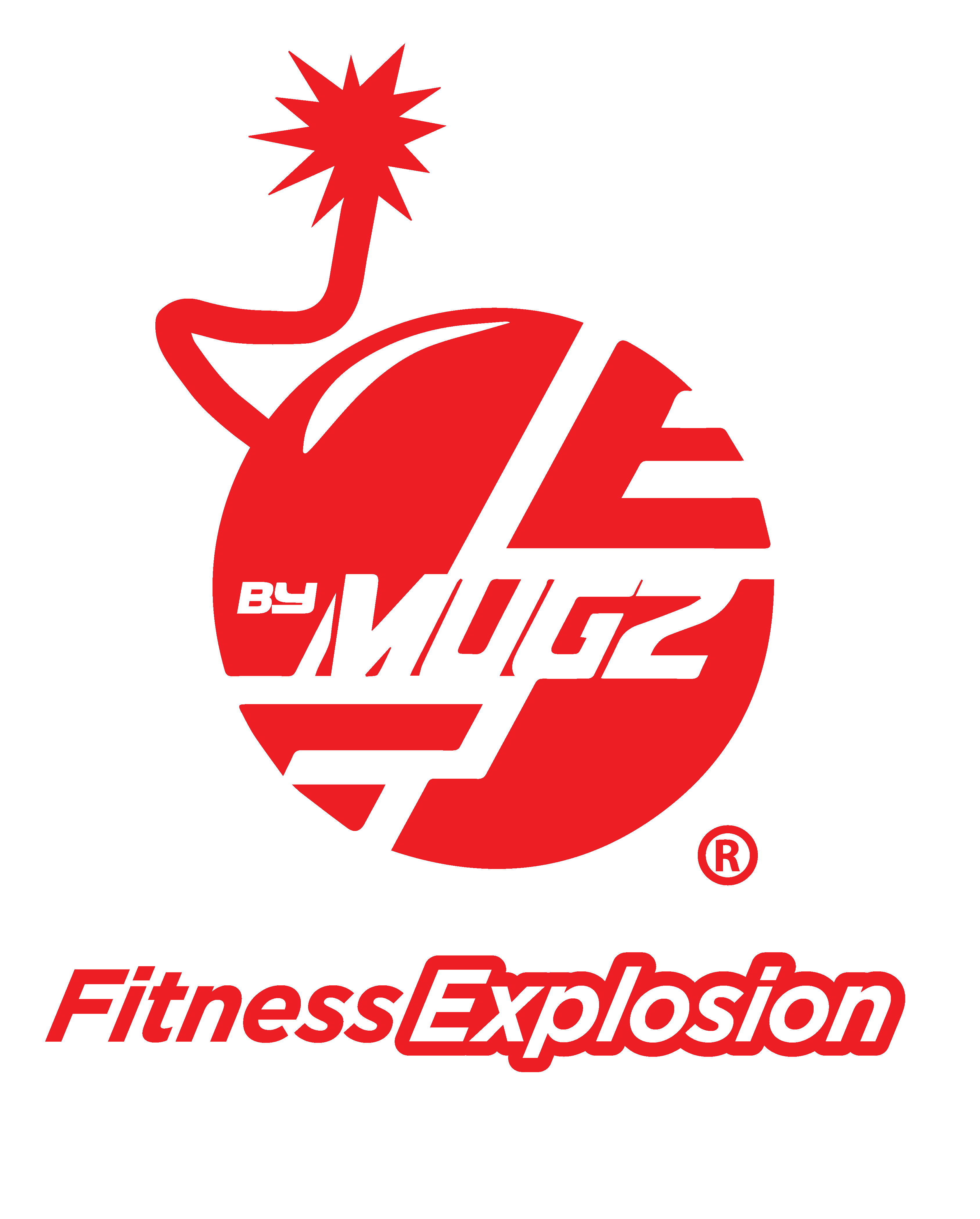 Fitness Explosion Elite Training Logo